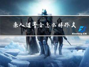 亲人过年会怎么样作文