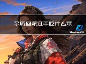 亲戚回家过年吃什么菜
