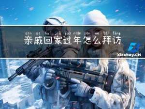 亲戚回家过年怎么拜访她