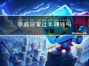 亲戚回家过年赚钱吗