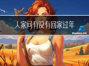 人家问有没有回家过年