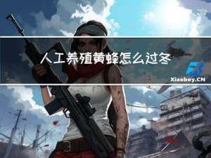 人工养殖黄蜂怎么过冬天