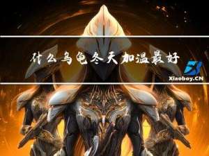 什么乌龟冬天加温最好