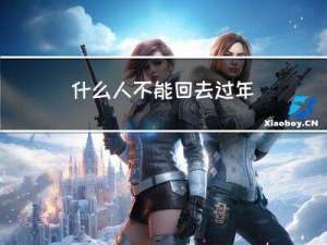 什么人不能回去过年