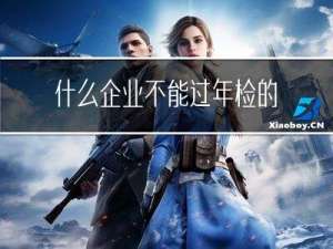 什么企业不能过年检的