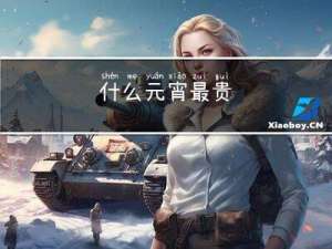 什么元宵最贵