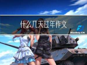 什么几天过年作文