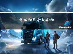 什么动物冬天会动