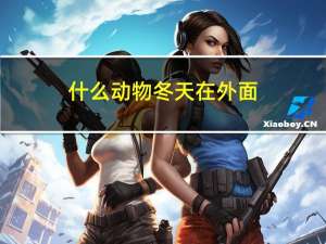 什么动物冬天在外面