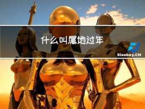 什么叫属地过年