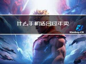 什么手机适合过年卖