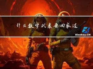 什么数字代表要回家过年