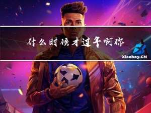 什么时候才过年啊你