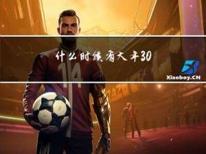 什么时候有大年30