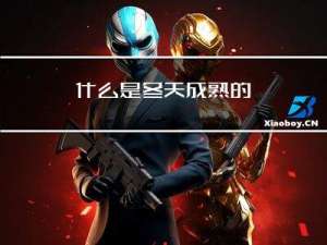 什么是冬天成熟的