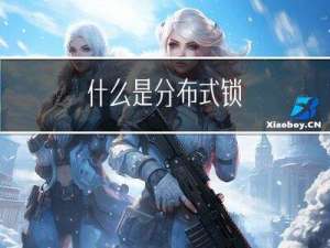 什么是分布式锁