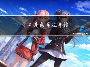 什么是包车过年检