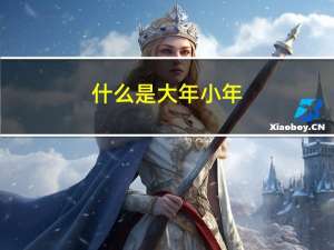 什么是大年小年