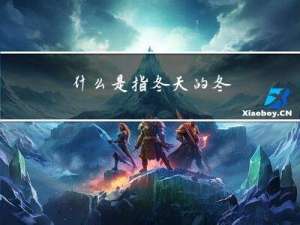 什么是指冬天的冬