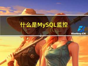 什么是 MySQL 监控