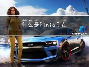 什么是Pinia？在vue中如何使用Pinia？Pinia和vuex有什么区别？