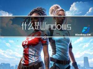 什么是Windows数据恢复？[数据恢复操作指南]