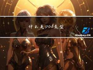什么是pod类型