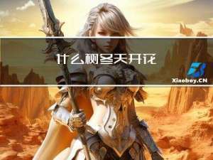 什么树冬天开花