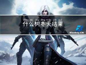 什么树冬天结果