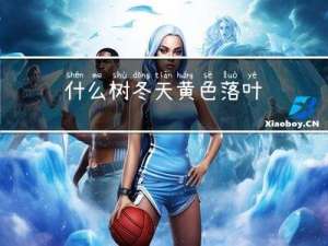什么树冬天黄色落叶
