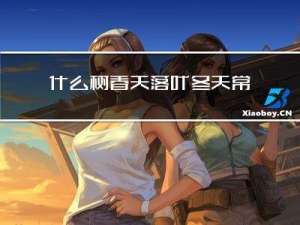 什么树春天落叶冬天常绿