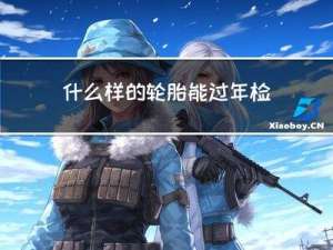 什么样的轮胎能过年检