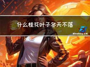 什么桂花叶子冬天不落