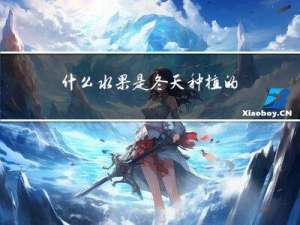 什么水果是冬天种植的