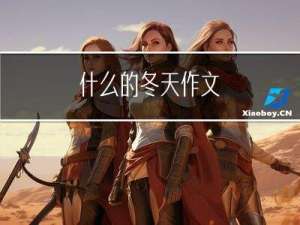 什么的冬天作文