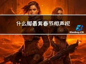 什么脚最臭春节相声视频