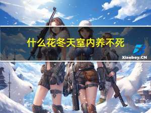 什么花冬天室内养不死