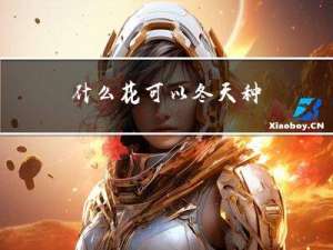 什么花可以冬天种