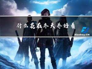 什么花在冬天养好看