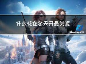 什么花在冬天开最美呢
