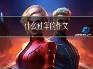 什么过年的作文