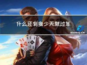 什么还有多少天就过年了