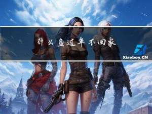 什么鱼过年不回家