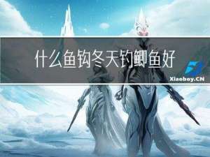 什么鱼钩冬天钓鲫鱼好用