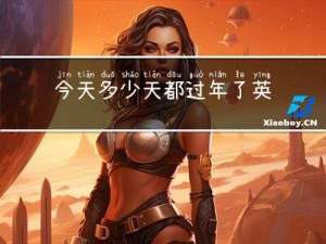 今天多少天都过年了英文