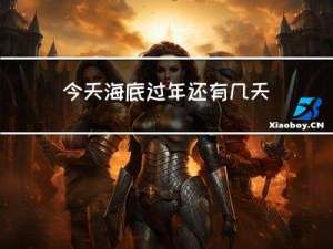 今天海底过年还有几天