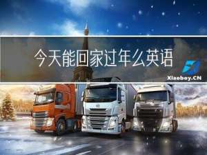 今天能回家过年么英语