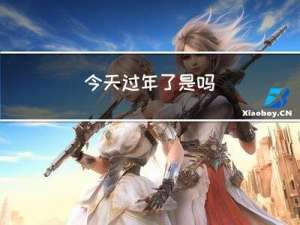今天过年了是吗