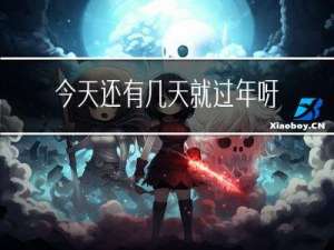 今天还有几天就过年呀