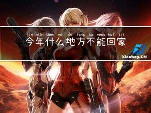 今年什么地方不能回家过年